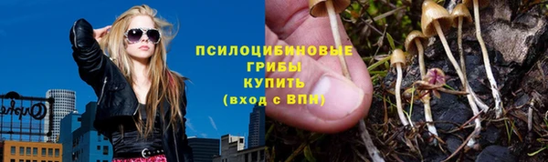 амф Аркадак