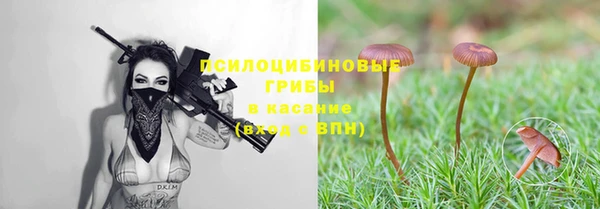 дживик Баксан