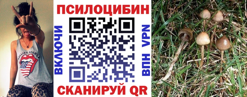 цены   Усть-Лабинск  Псилоцибиновые грибы мухоморы 
